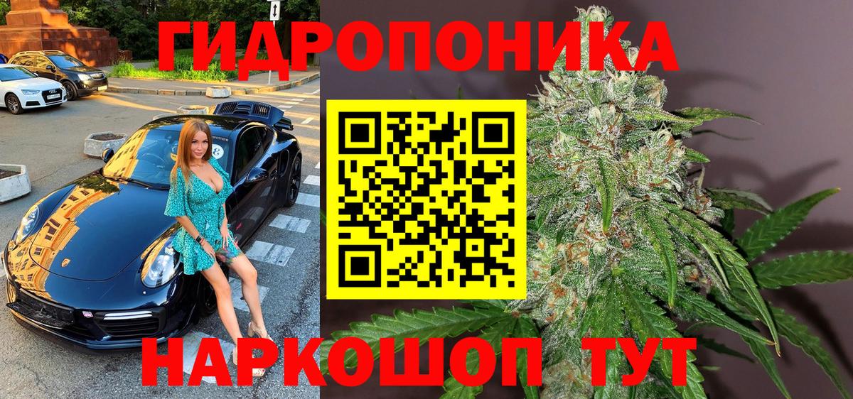 Бошки Шишки OG Kush  Вход с VPN  Бошки Шишки планчик  Малгобек  Шишки марихуана марихуана 